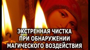 ЭКСТРЕННАЯ ЧИСТКА ПРИ ПОРЧЕ, БОЛЕЗНИ ЗАЩИТА