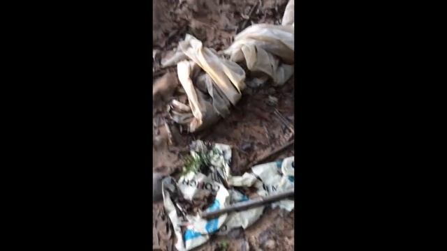 "Survival builders" leaves a mess behind as they try to imitate the primitive technology trend смотреть онлайн