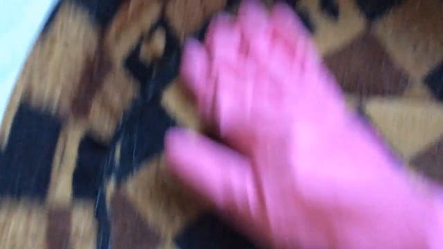 Как очистить место любимца от шерсти??? Лайфхак)) смотреть онлайн