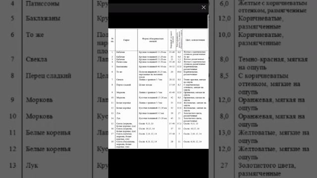Секрет кабачковой икры по ГОСТу смотреть онлайн
