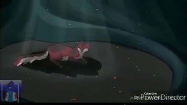 (Warriors cats/clip) "Пряталась в ванной"