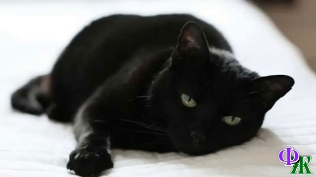 Кроха, oтopвaнная от матери, лежала и ЗАДЫХАЛАСЬ, завернутая в пакет, туго перетянутый верёвкой смотреть онлайн