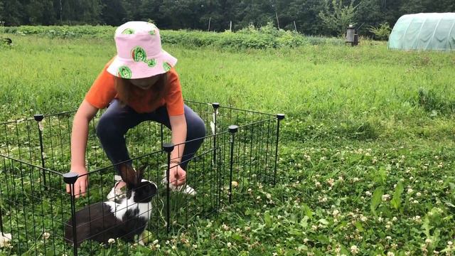🐶«ЙОРКШИРСКИЙ ТЕРЬЕР АЙСИ В ДЕРЕВНЕ»🐶/ Выгуливаем и кормим кроликов в вольере/ Собака в доме.