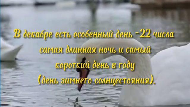 Зима соскучилась по снегу.