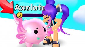 PK XD ОБНОВЛЕНИЕ АКСОЛОТЛЬ СПОЙЛЕР !!!