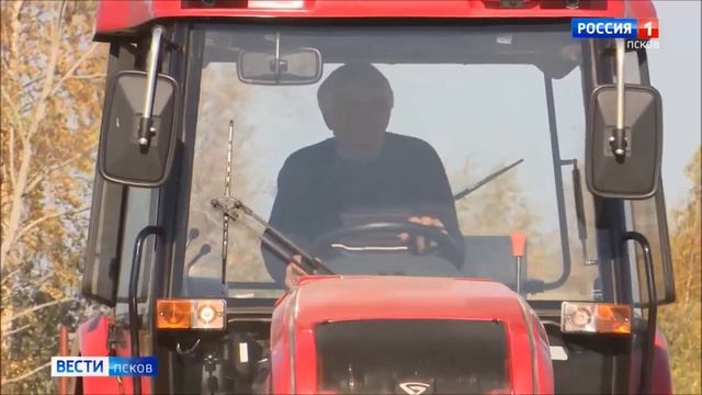 Итоги года-2021. Сельское хозяйство Псковской области выполнило целевые показатели смотреть онлайн