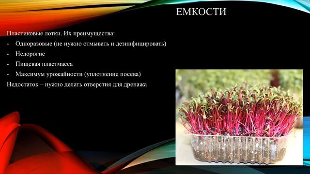 Микрогрин. Выступление на конференции "Миллион с гектара" смотреть онлайн
