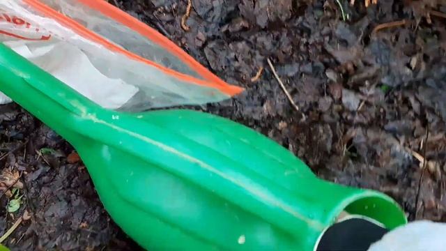 Хлорозит ДЕЛЬФИНИУМ ! смотреть онлайн
