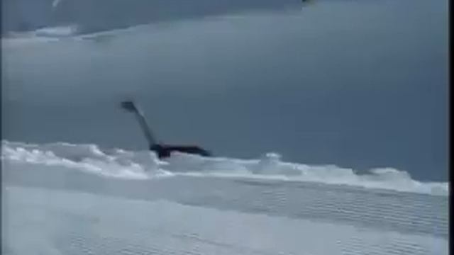 страус+на+лыжах смотреть онлайн
