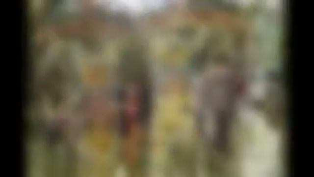 слоны. смотреть онлайн