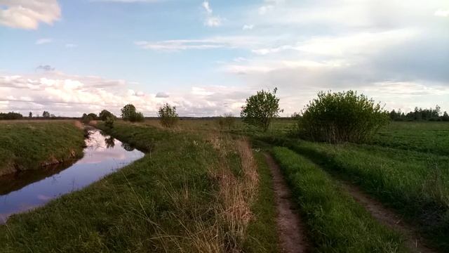 Созерцание. Крик коростеля. смотреть онлайн