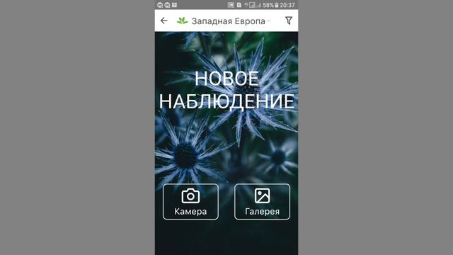 Гүлдің атын қалай біледі? Гүл туралы мәлімет смотреть онлайн