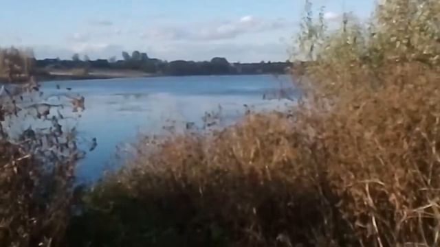 Прогулка по городу Воскресенск ч 2 смотреть онлайн