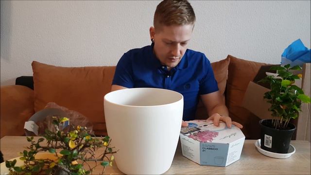 Compilation of my plants and seeds #1 смотреть онлайн