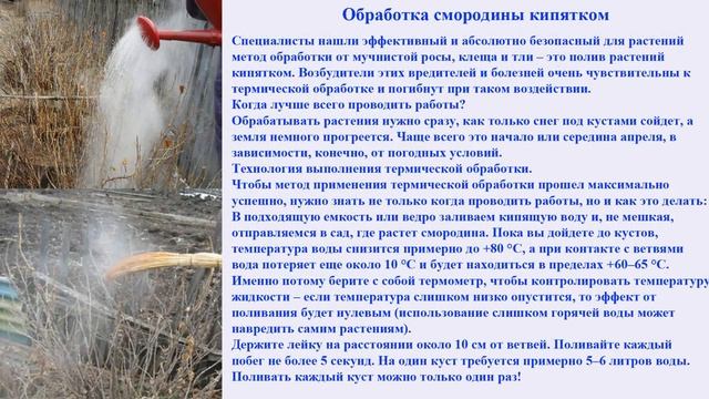 Народные способы борьбы с вредителями в саду и огороде. Делай сам смотреть онлайн