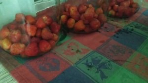 Готовим клубничный компот