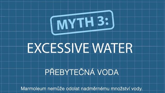 Mýty O Podlahové Krytině Marmoleum Zbořeny | Forbo Flooring Systems