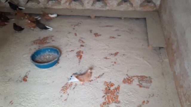 молодёжь 2022 года в торой выводок 2 часть смотреть онлайн