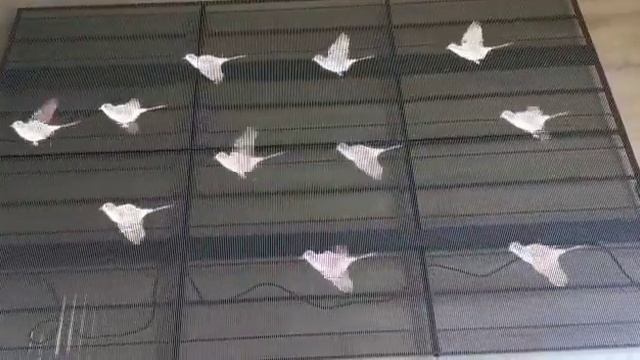 3d решетка (прозрачный экран) для развлекательного центра в Казахстане смотреть онлайн