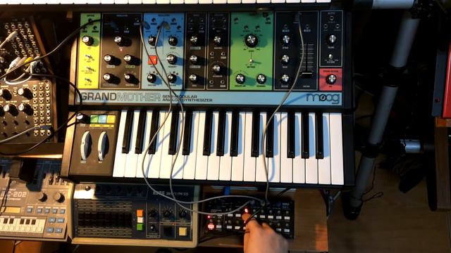 Moog Grandmother Duophonic Mode by Dante Gonzales смотреть онлайн