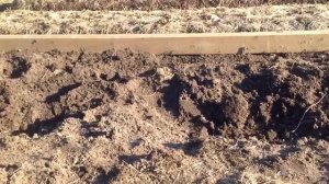 Фундамент для теплицы из поликарбоната