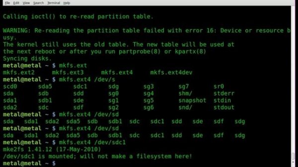 Creating and Formatting Partitions with FDISK and mkfs - BASH - Linux