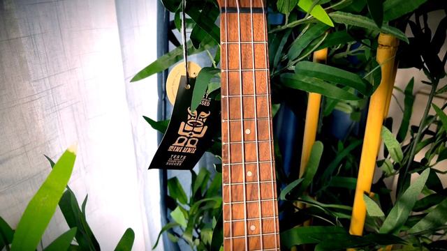 Este UKELELE es una pasada. Review del Lâg Tiki Uku 110C | Mejor ukelele económico смотреть онлайн