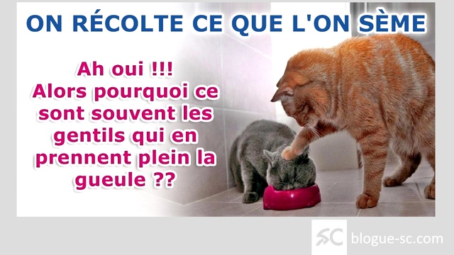 Qu'est-ce Que La « Providence » Et Pourquoi Je Lui Fais Confiance 