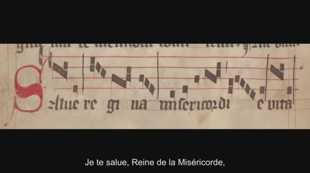 Salve Regina - Virgo Mater Ecclesiae