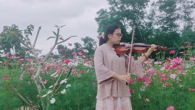 Serenade to spring - Secret Garden (violin solo) смотреть онлайн