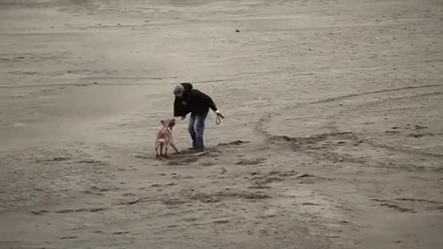 Негатив Дождь