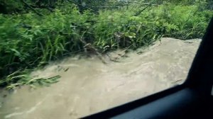 Тест-драйв Isuzu D-Max