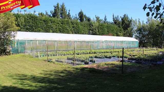 Dowdeswells Delphiniums Ltd, 692 Brunswick Road, RD1, Wanganui смотреть онлайн