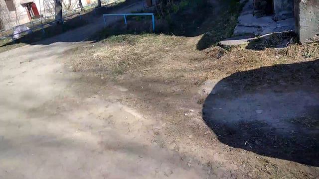 Всем привет, я Лиза, ищу свою кошку марусю. она была в подъезде🤣😂 смотреть онлайн