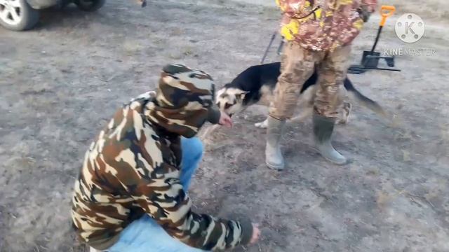 Накопали монеты Караханидов??? смотреть онлайн