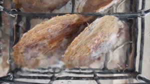 Зарождение и рост речного жемчуга / выращивание жемчуга / легенды о жемчуге.