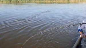 Ловля сома на квок. Рыбалка с Олегом Сарана в Астрахани.