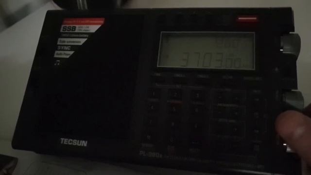 Tecsun pl-990x SSB Причина Мяу Мяу смотреть онлайн