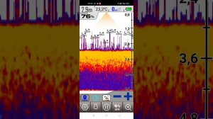 запись работы эхолота Erchang F68 .