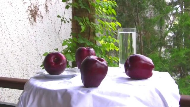 Red Delicious Apple Tree смотреть онлайн