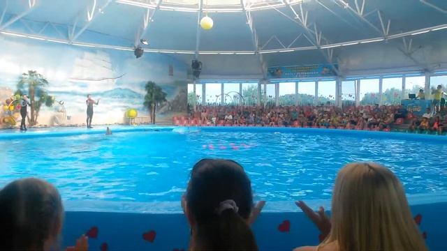 Дельфинарий "Немо" г. Минск 06.08.2014 смотреть онлайн