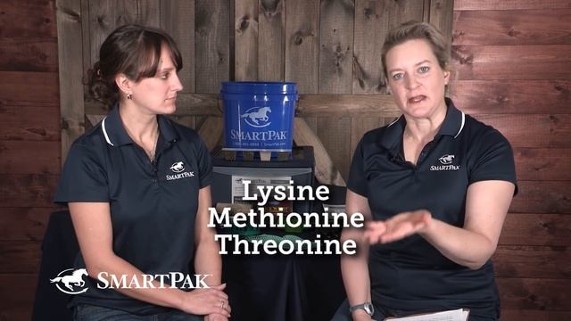 Ask the Vet - What is Cushing's Disease in horses? смотреть онлайн