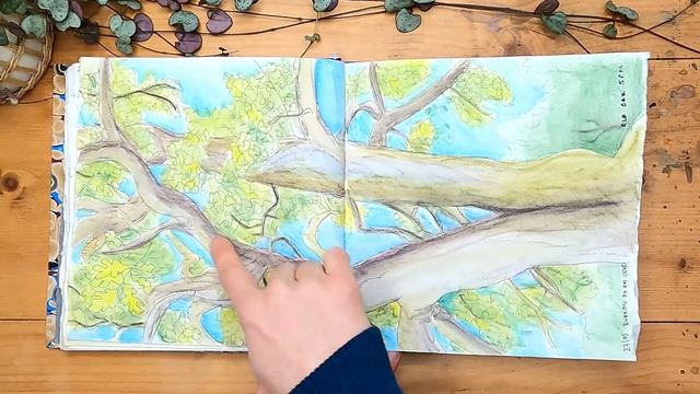 How I Learnt Derwent Inktense ✿ HONEST Sketchbook Tour смотреть онлайн