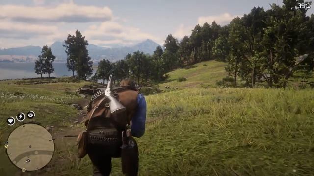 Red Dead Redemption 2 смэрть и последущее освежевание смотреть онлайн