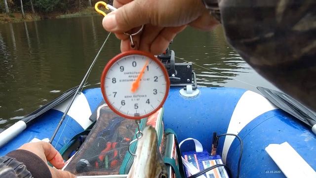 Осенняя щучка. Воблер от Bearking VISION ONETEN 110 по мелководью и другие. Обзор рыбалки смотреть онлайн