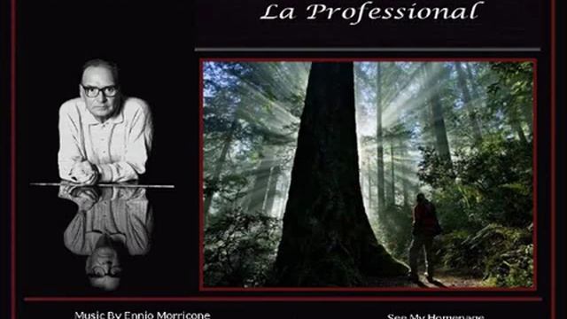 Ennio Morricone - La Professional - pps - By Wilfried Braem смотреть онлайн