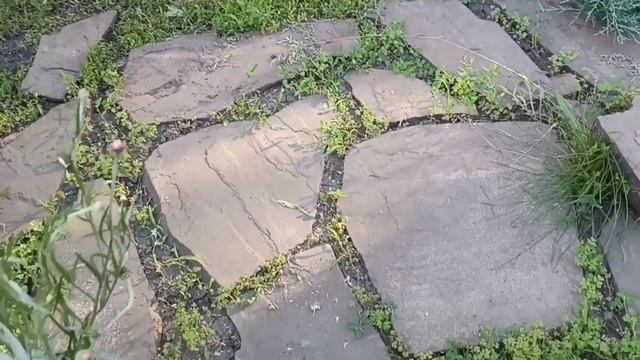 ПЕРЕДЕЛКИ в саду! Реконструкция дорожек и зоны отдыха! смотреть онлайн