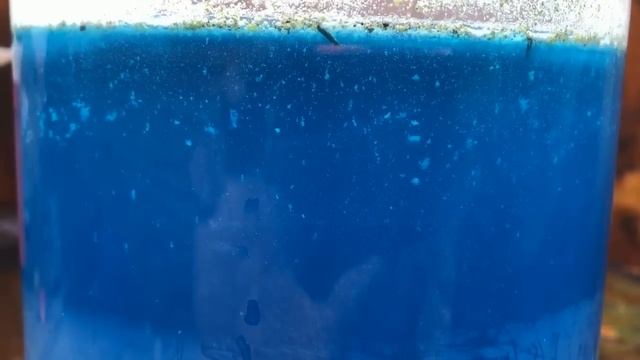 Золото из разного материала. Отличный выход золотишка) смотреть онлайн