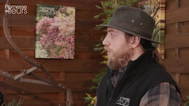 Découverte : le cycas revoluta смотреть онлайн