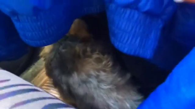 НВ: день 6-суббота//ляляля,интересный влог...блаблабла// смотреть онлайн